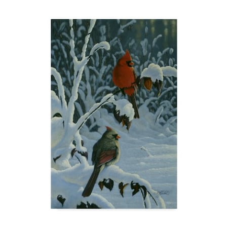Wilhelm Goebel 'Cardinals And Brambles' Canvas Art,30x47